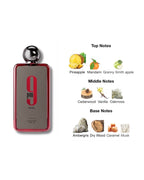 Afnan 9 PM Rebel Eau de Parfum, a 100m with box unisex fragrance