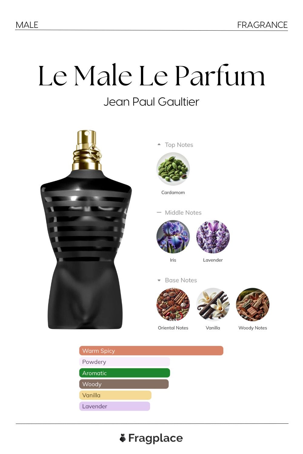 Jean Paul Gaultier Le Male Le Parfum Eau de Parfum Intense with box 100m men
